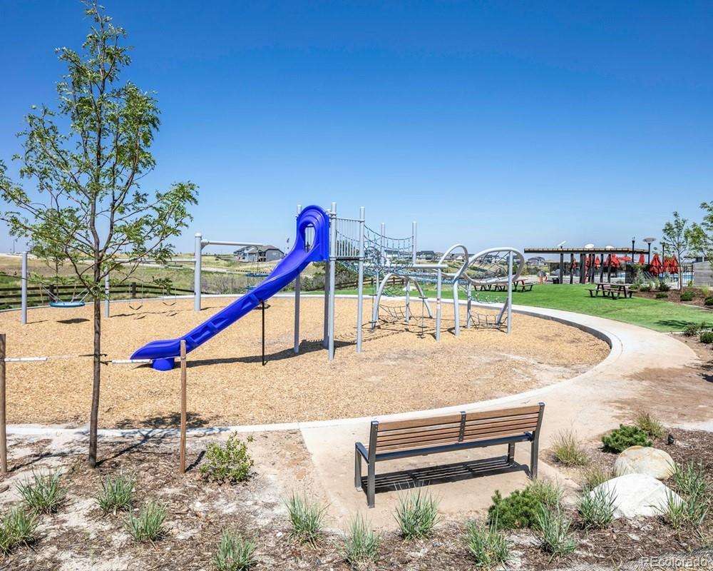 MLS Image #43 for 4153  headlamp court,castle rock, Colorado