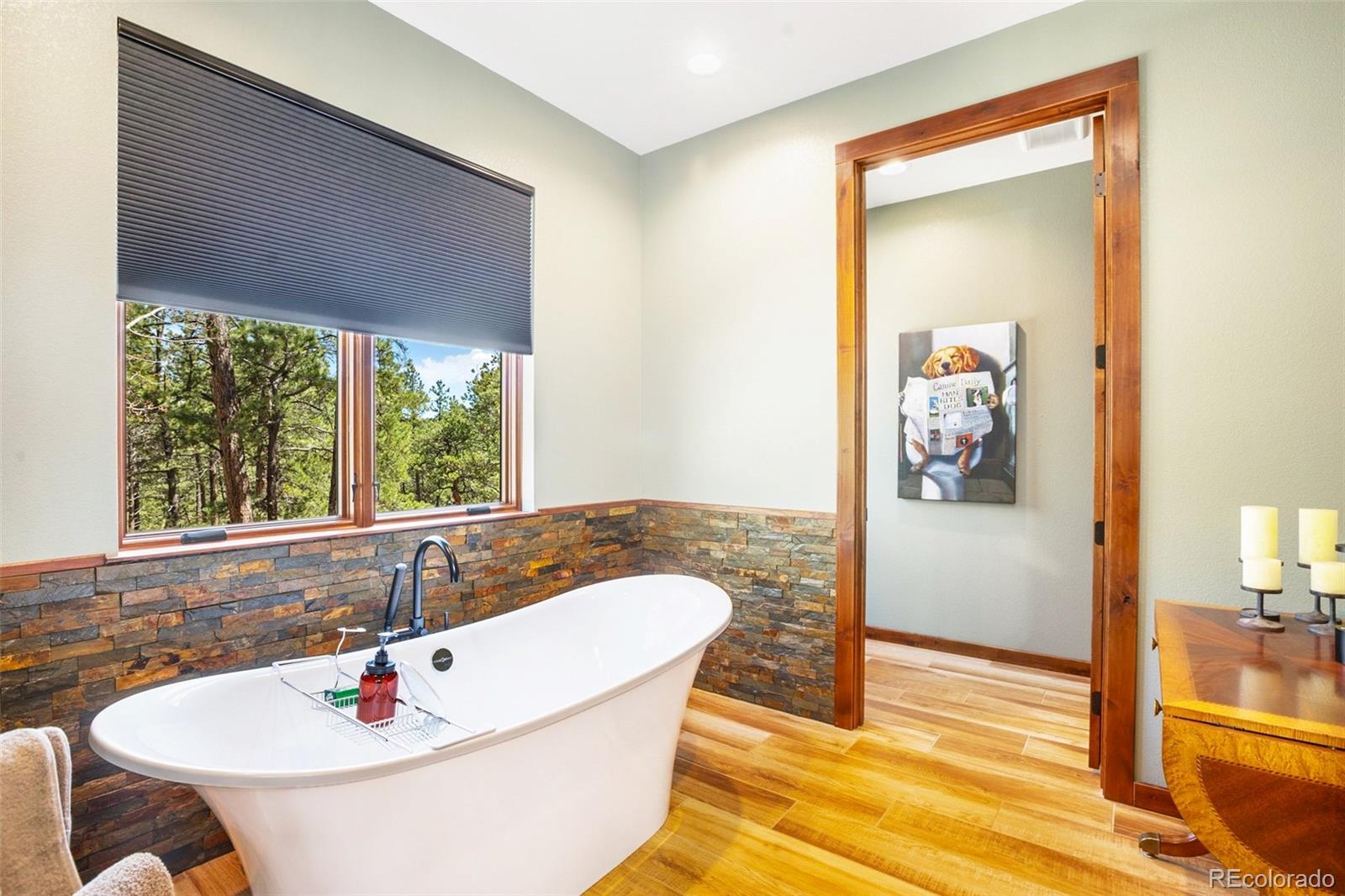 MLS Image #13 for 2754  county rd 421 ,florissant, Colorado