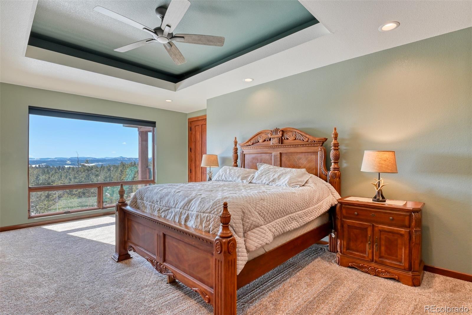 MLS Image #29 for 2754  county rd 421 ,florissant, Colorado