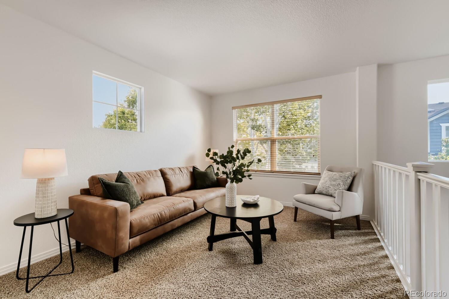 MLS Image #23 for 14338  lakeview lane,broomfield, Colorado