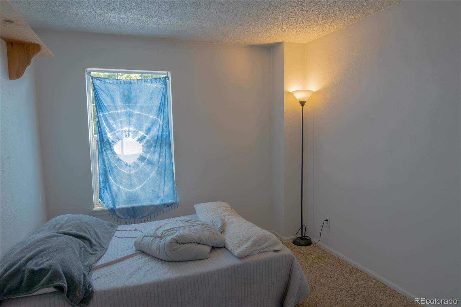 MLS Image #21 for 3151  queen court,broomfield, Colorado