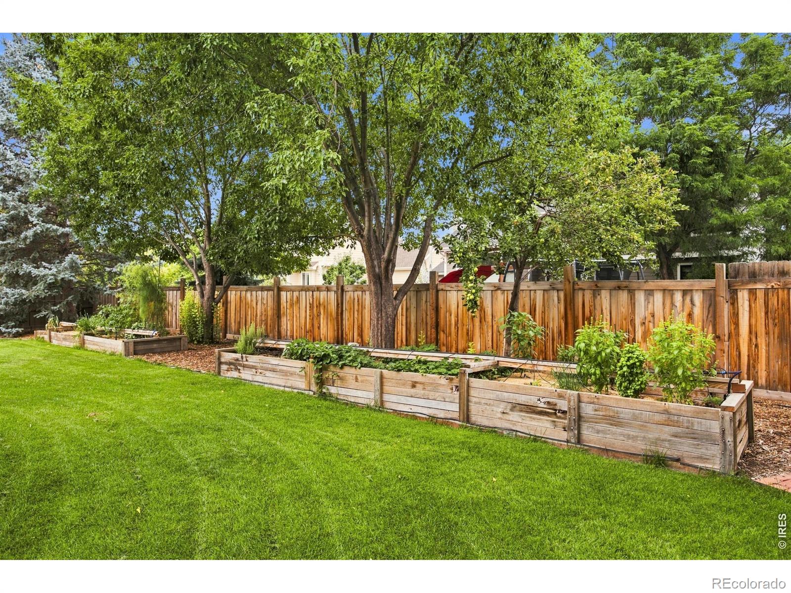 MLS Image #3 for 3152  twin wash square,fort collins, Colorado