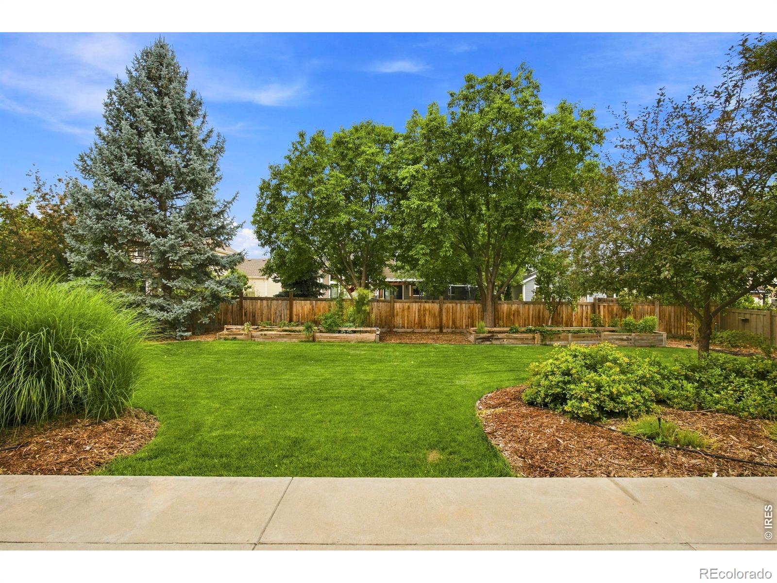 MLS Image #4 for 3152  twin wash square,fort collins, Colorado