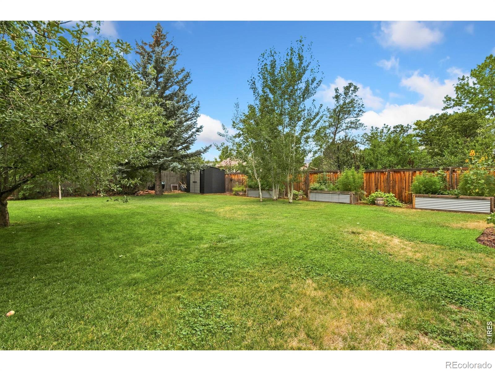 MLS Image #39 for 2449  yorkshire street,fort collins, Colorado