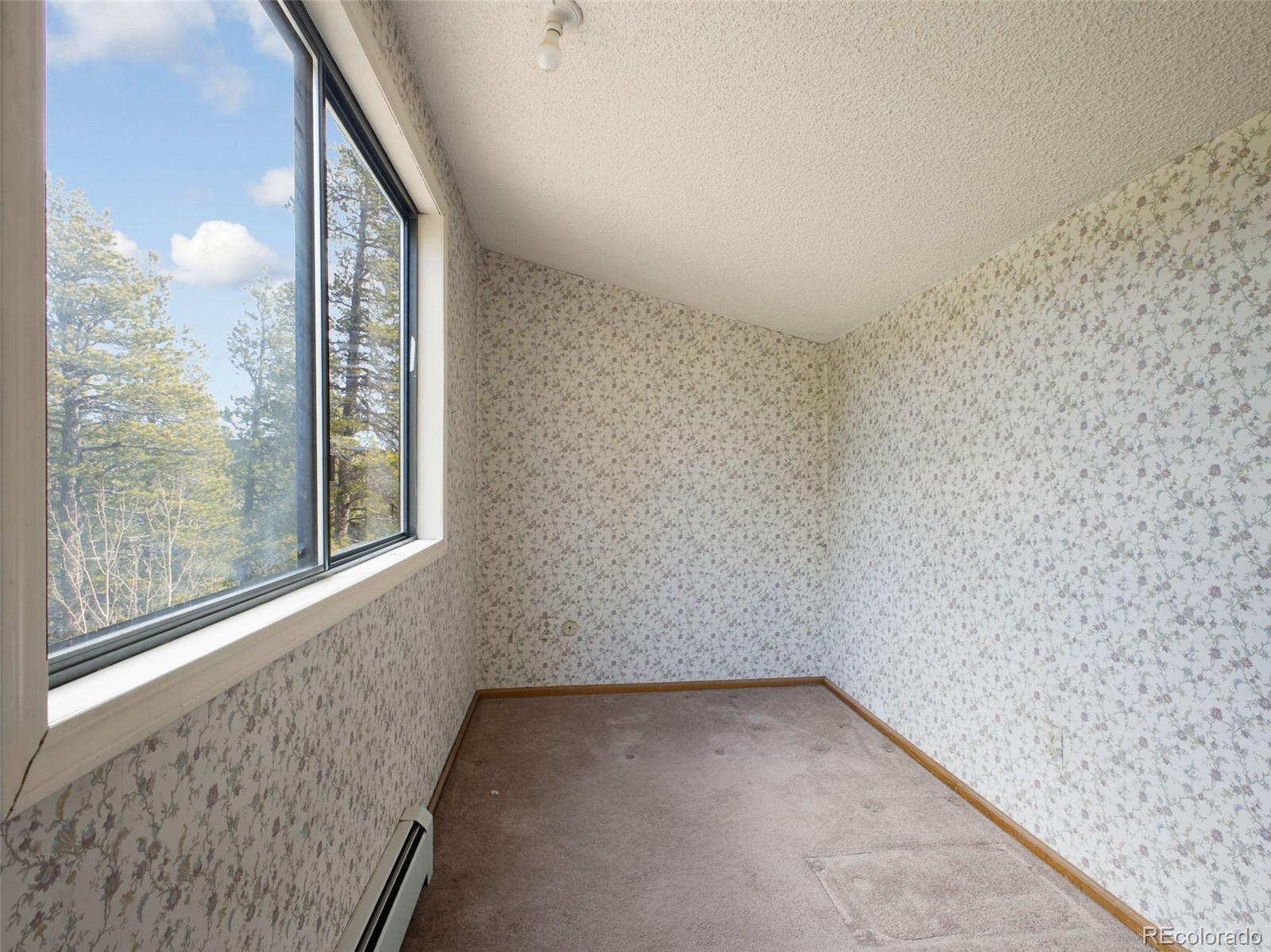 MLS Image #16 for 89  prospectors way,bailey, Colorado