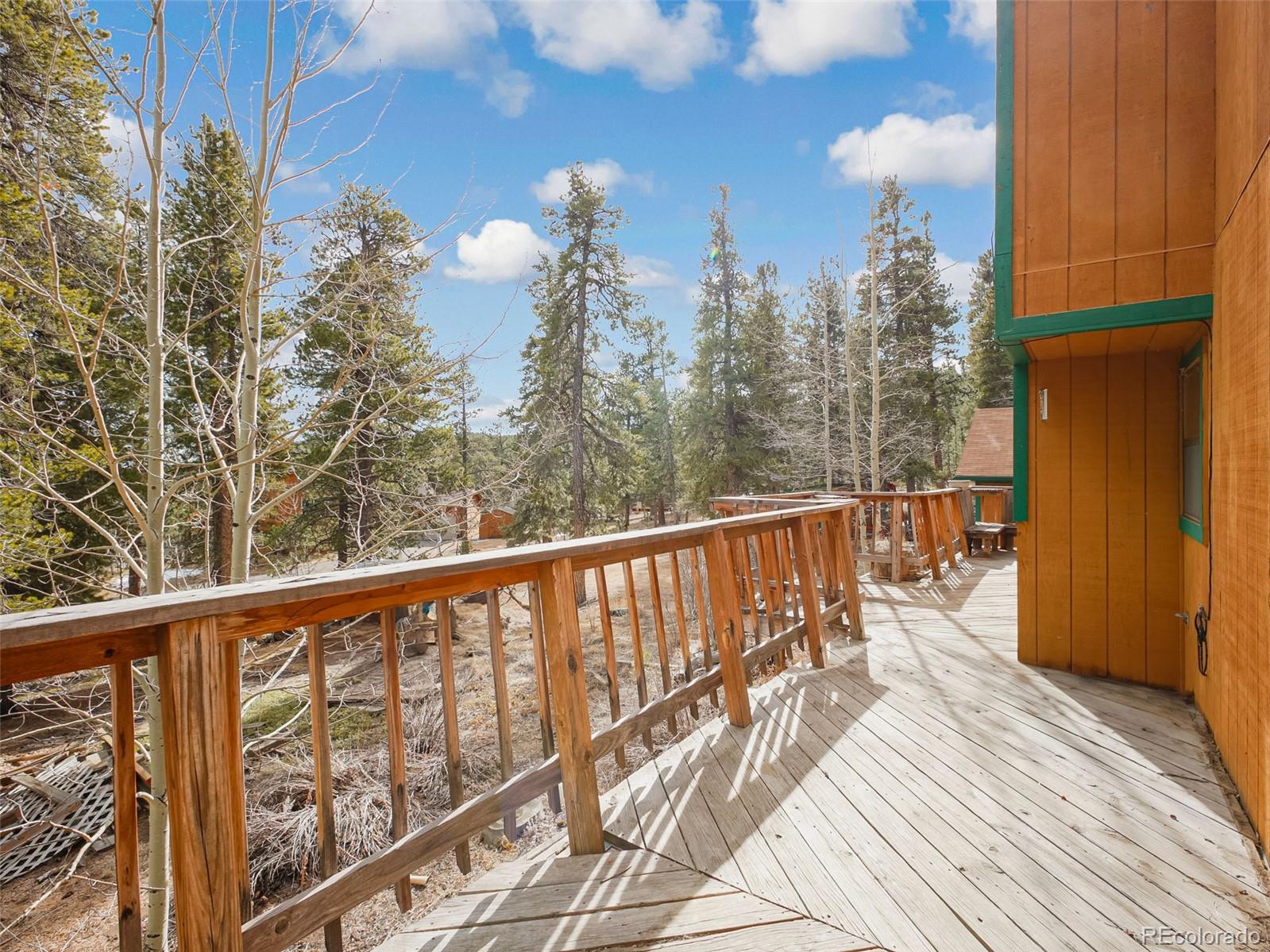 MLS Image #29 for 89  prospectors way,bailey, Colorado