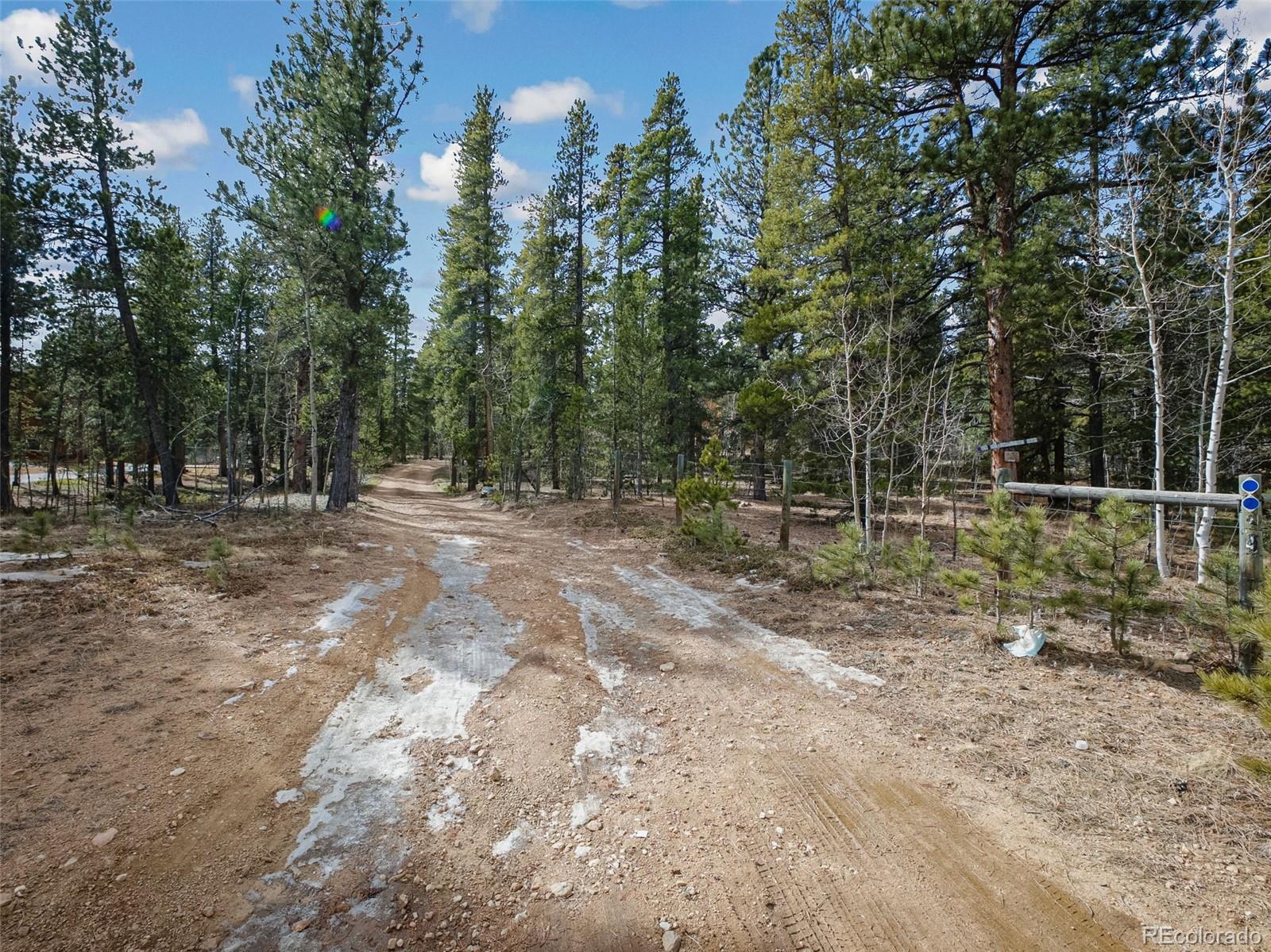 MLS Image #31 for 89  prospectors way,bailey, Colorado