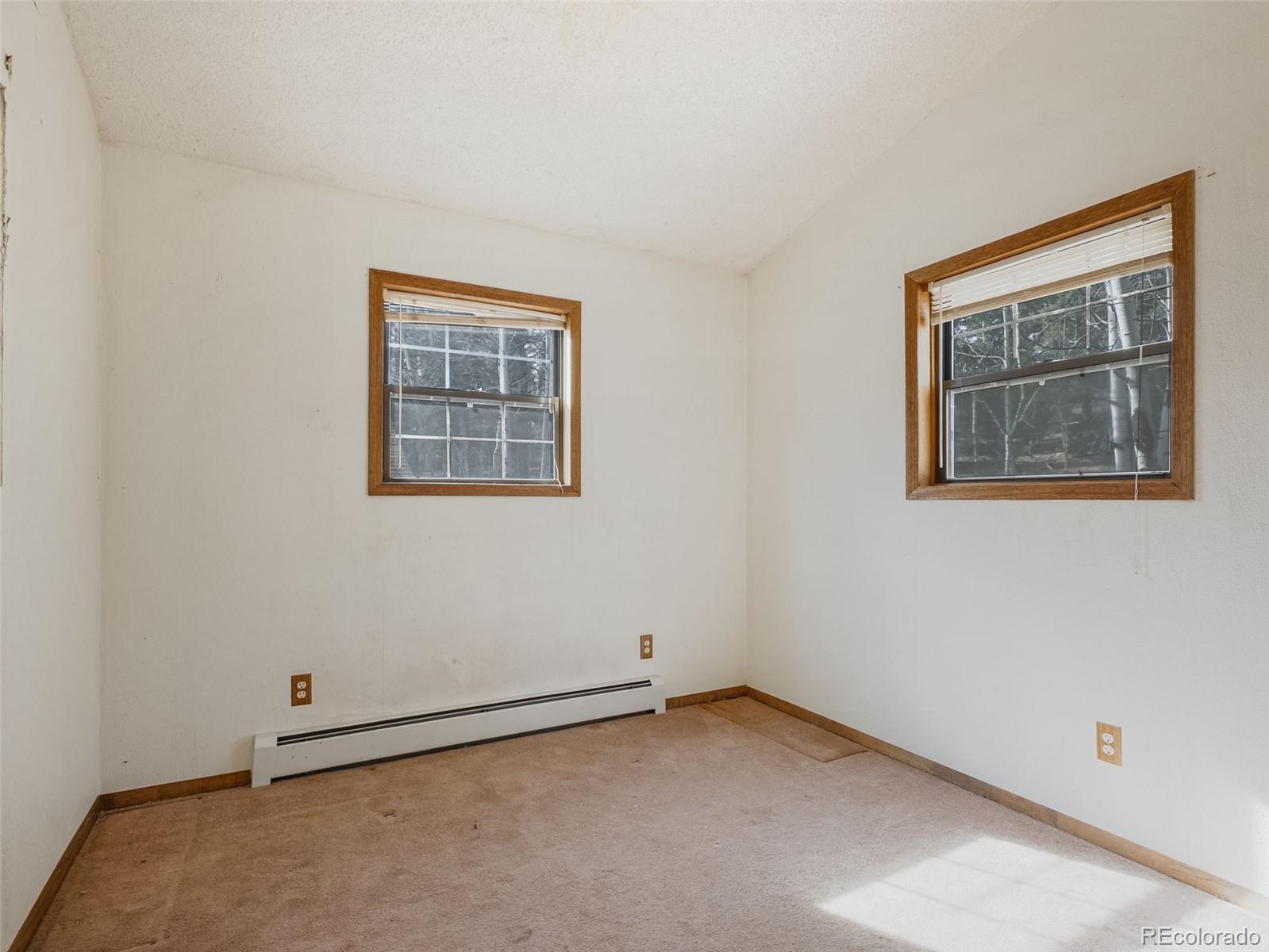 MLS Image #5 for 89  prospectors way,bailey, Colorado