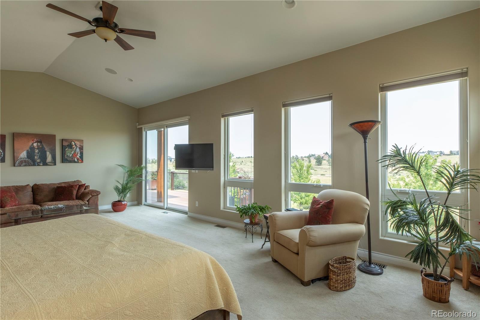MLS Image #13 for 7854  merryvale trail,parker, Colorado
