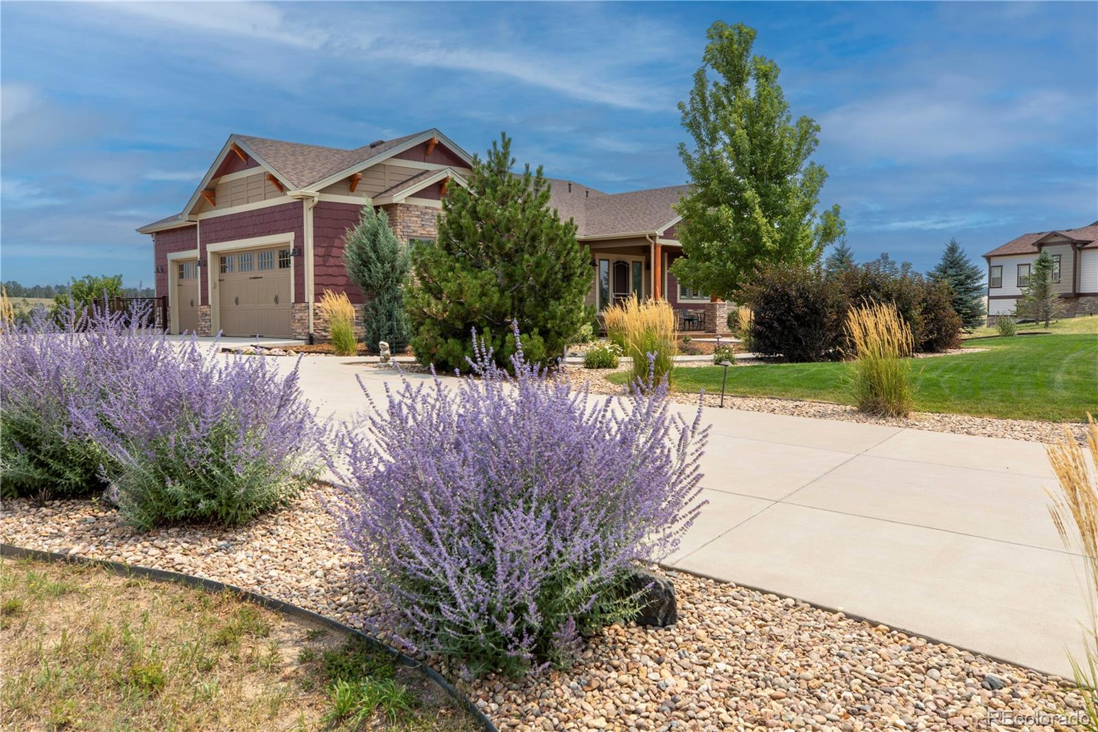MLS Image #2 for 7854  merryvale trail,parker, Colorado