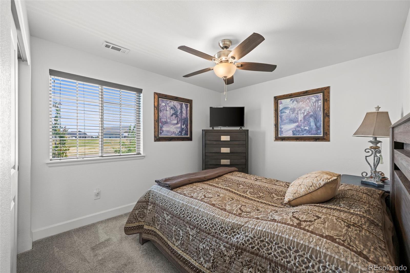 MLS Image #12 for 3382  indian grass street,dacono, Colorado