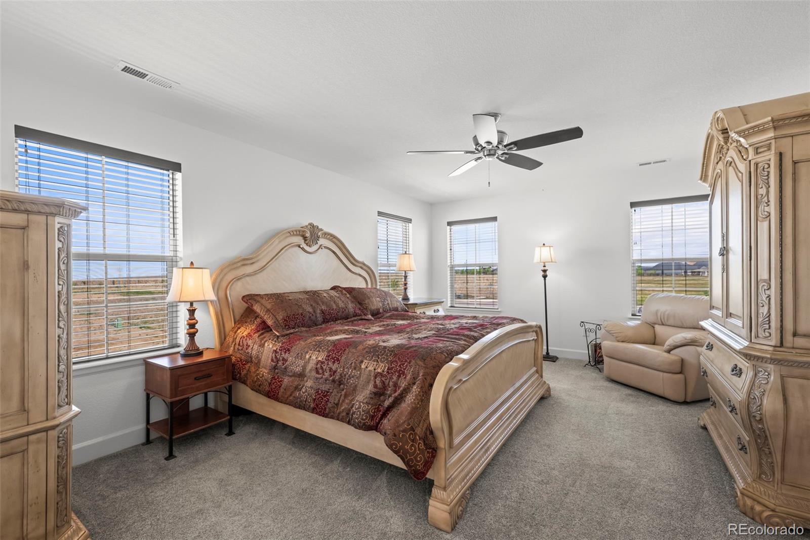 MLS Image #18 for 3382  indian grass street,dacono, Colorado