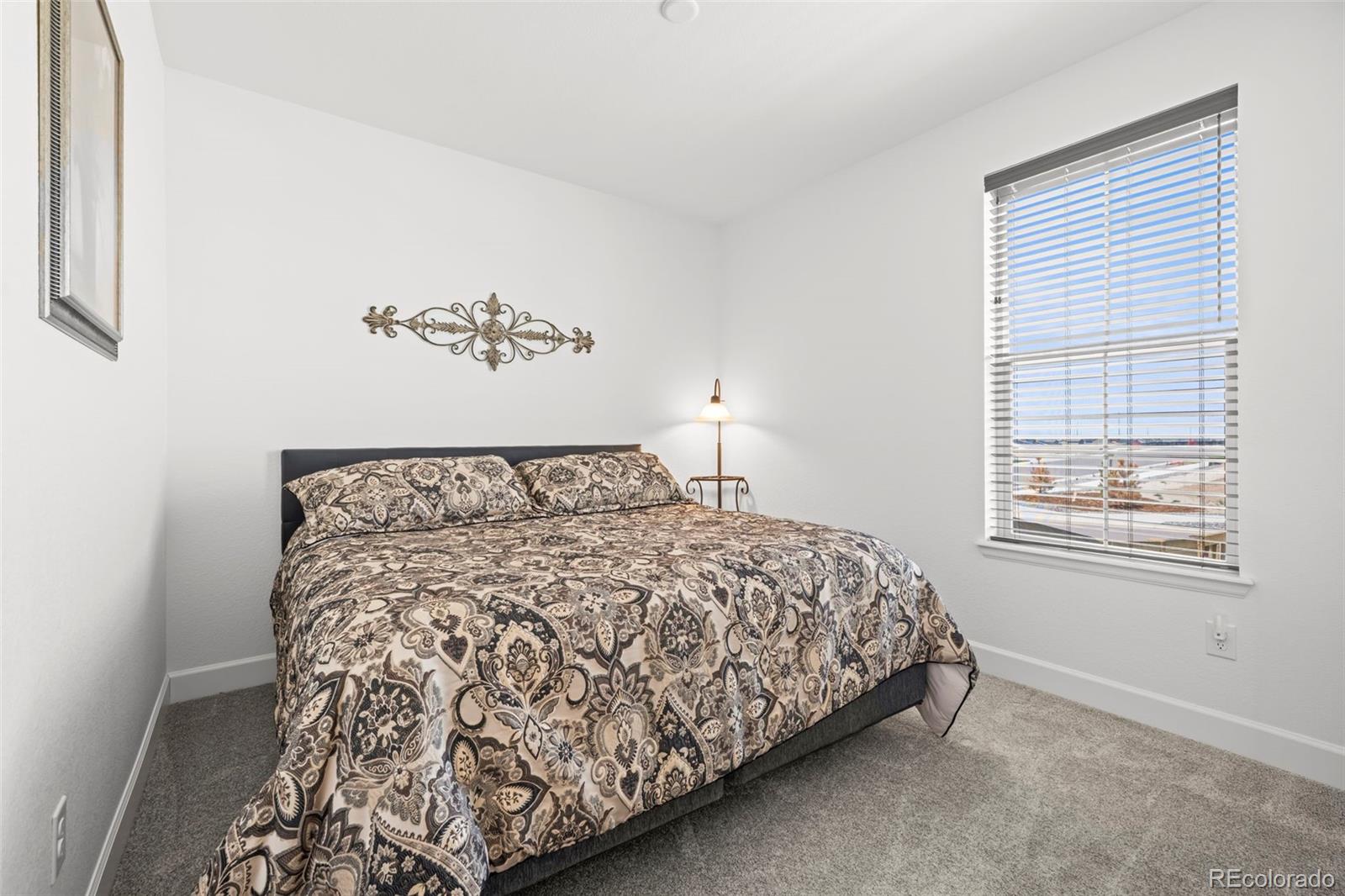 MLS Image #9 for 3382  indian grass street,dacono, Colorado
