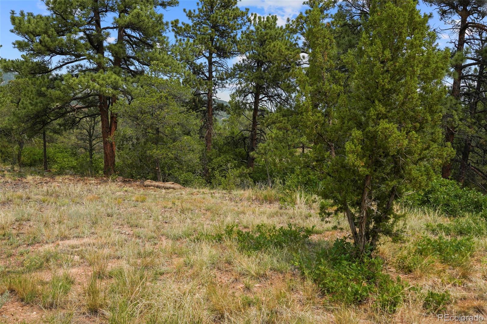 MLS Image #26 for 15905  cala rojo drive,colorado springs, Colorado