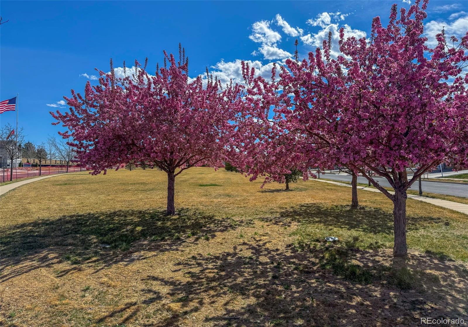 MLS Image #26 for 3789  emerald shore circle,loveland, Colorado