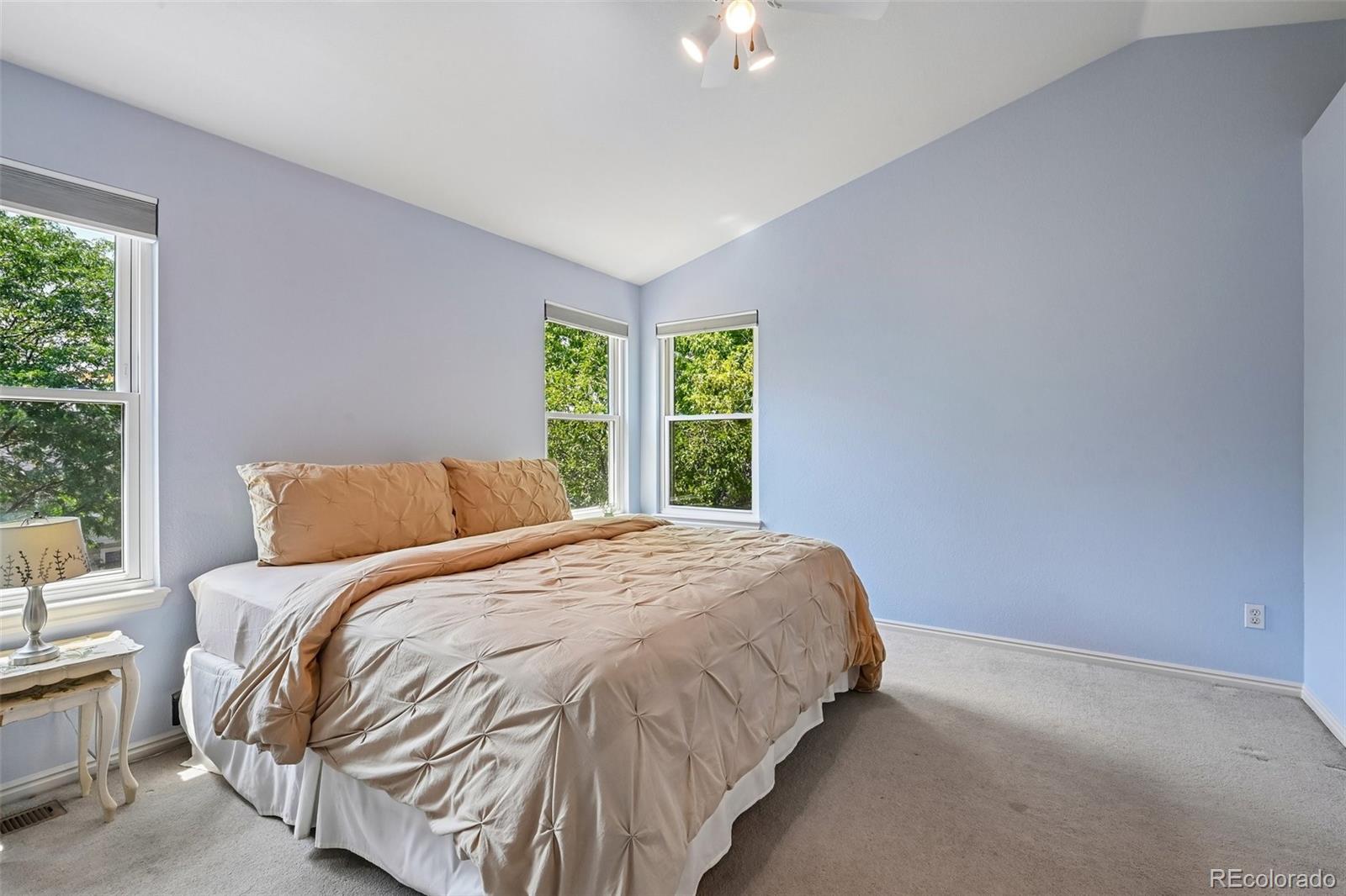 MLS Image #18 for 5277 s malaya way,aurora, Colorado