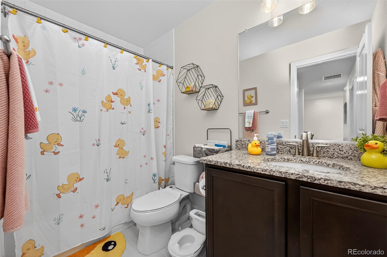 MLS Image #17 for 16871 e 119th avenue,commerce city, Colorado