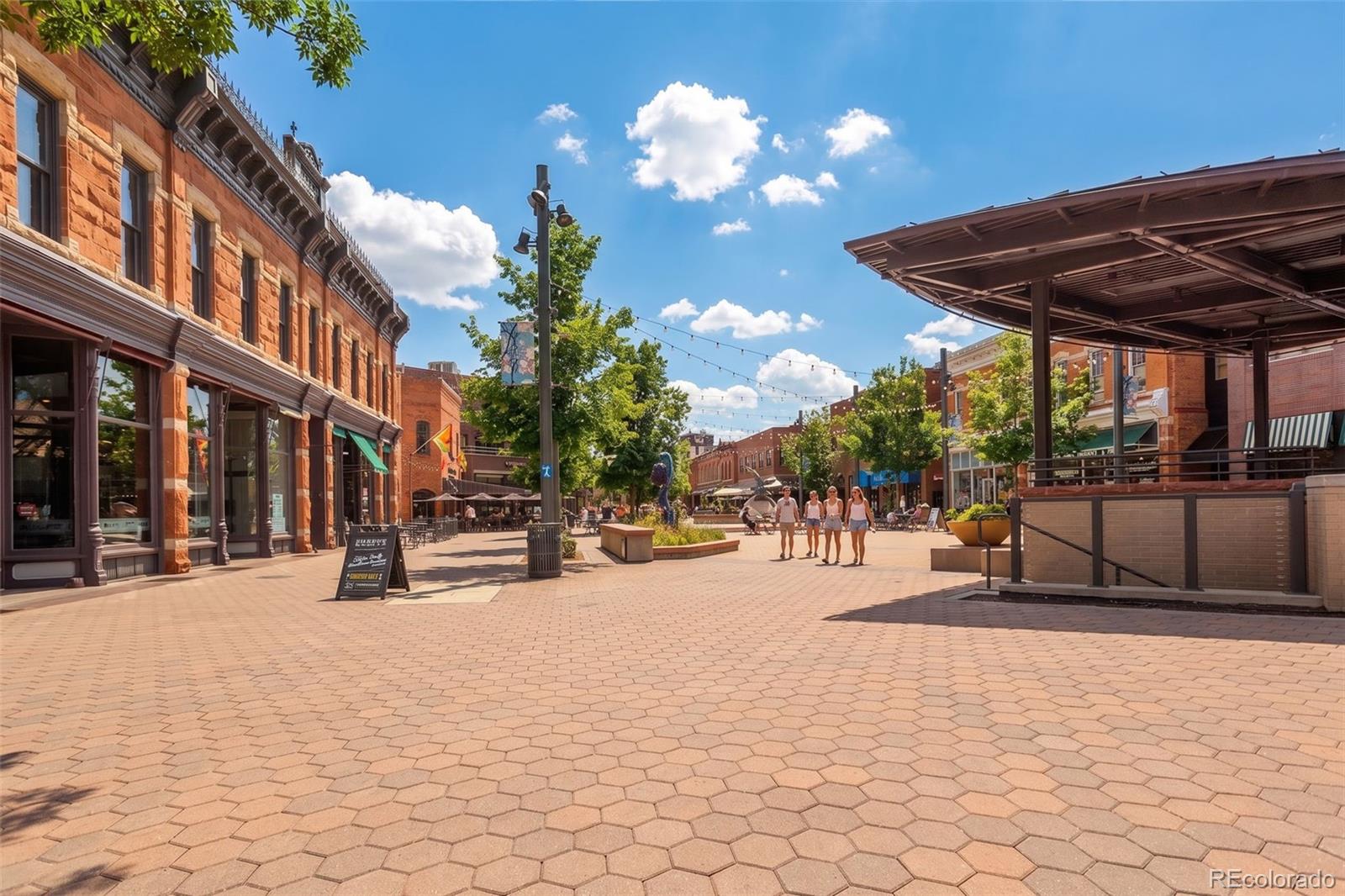 MLS Image #46 for 212 e lincoln avenue,fort collins, Colorado