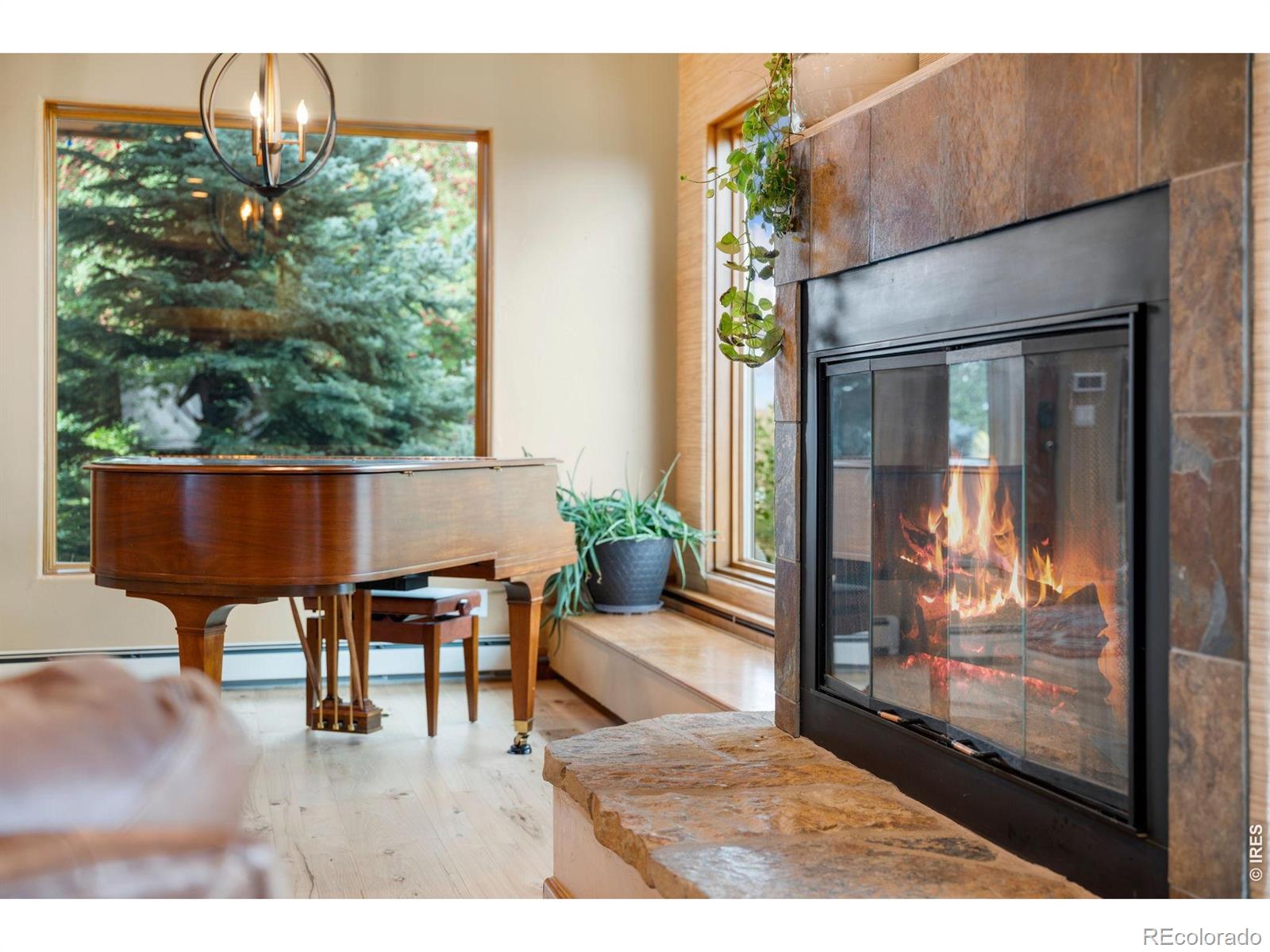 MLS Image #11 for 7024  daryn lane,fort collins, Colorado