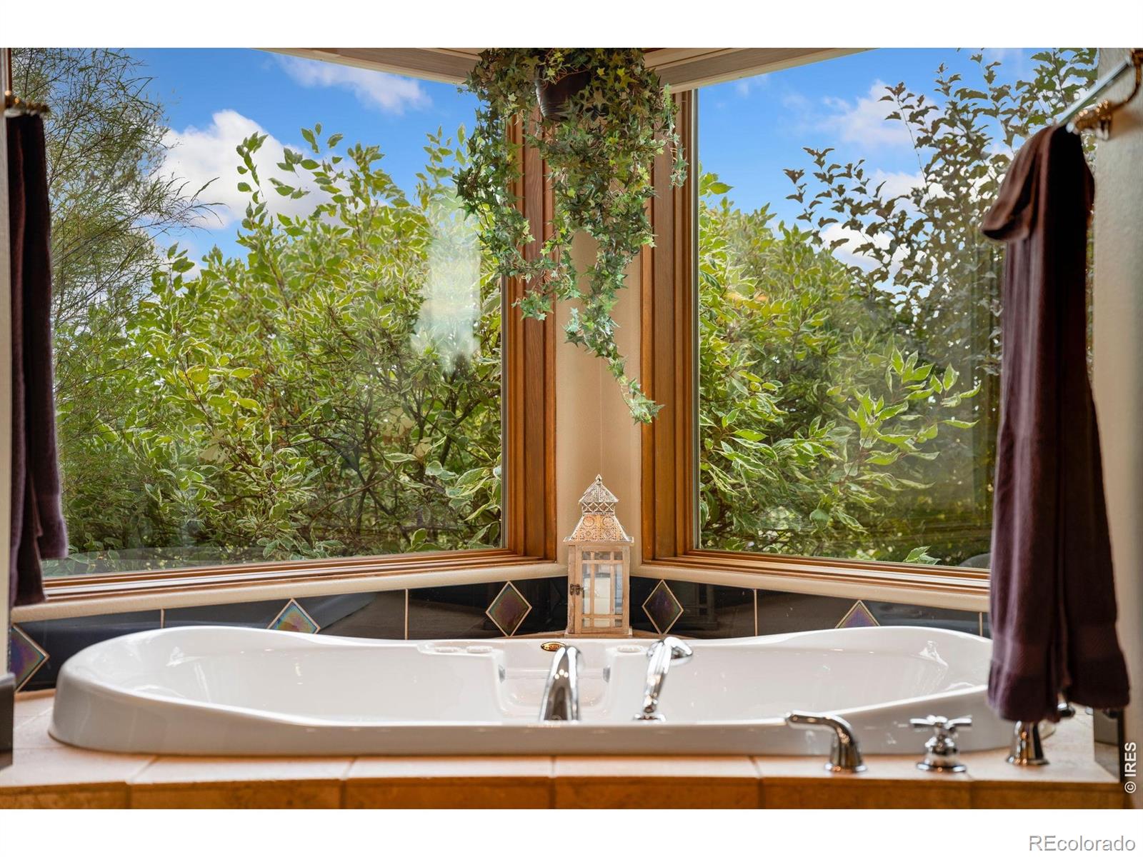 MLS Image #28 for 7024  daryn lane,fort collins, Colorado