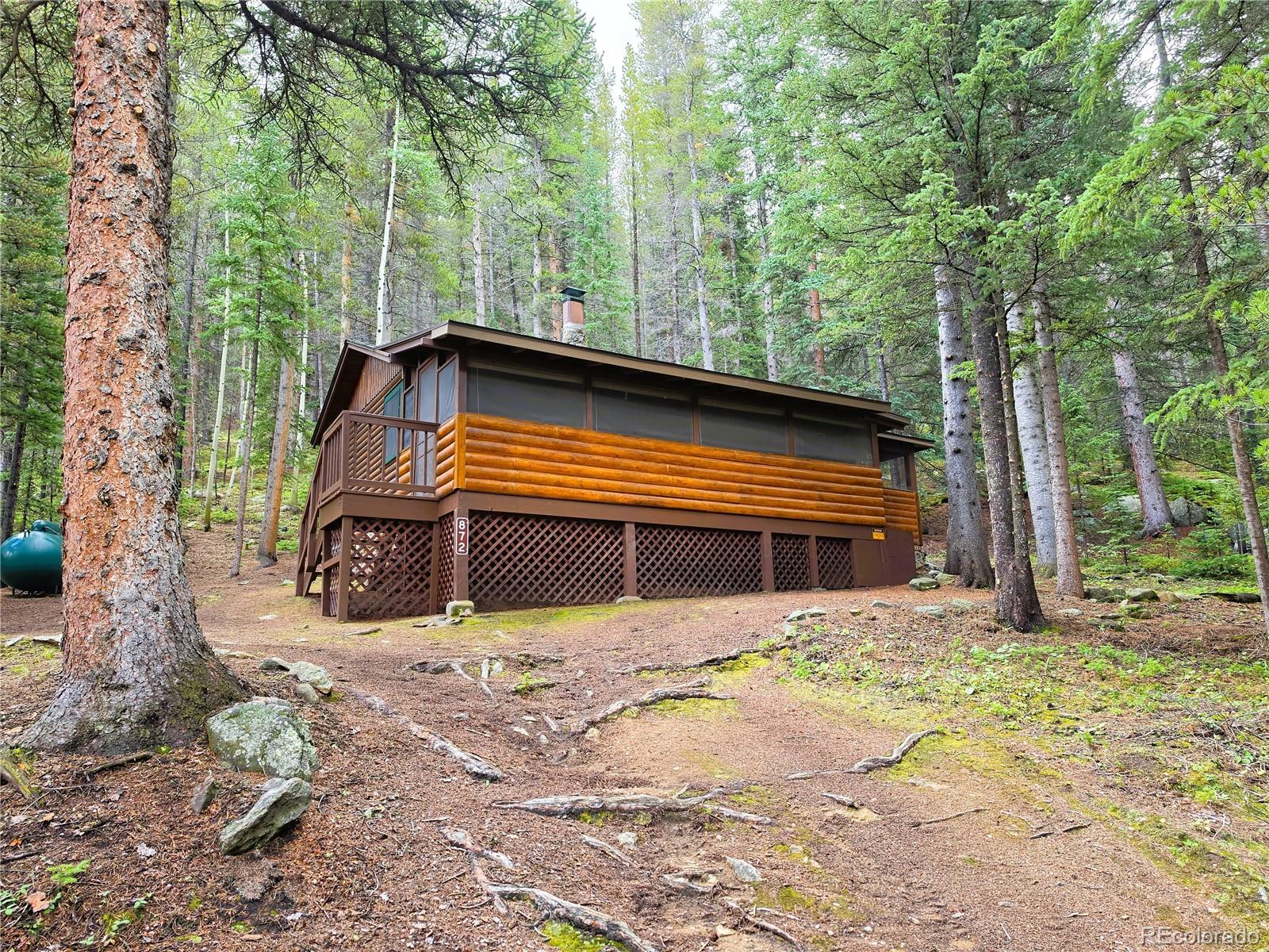 MLS Image #22 for 872  hefferman gulch road,idaho springs, Colorado