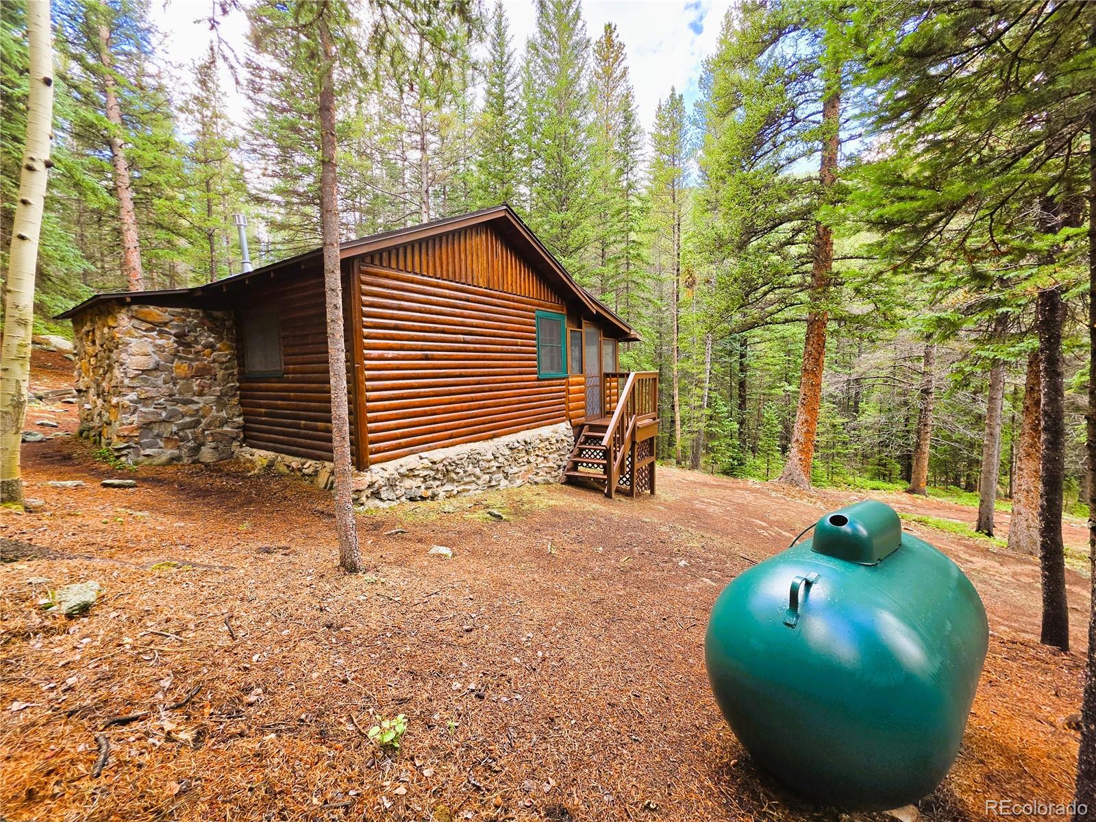 MLS Image #29 for 872  hefferman gulch road,idaho springs, Colorado