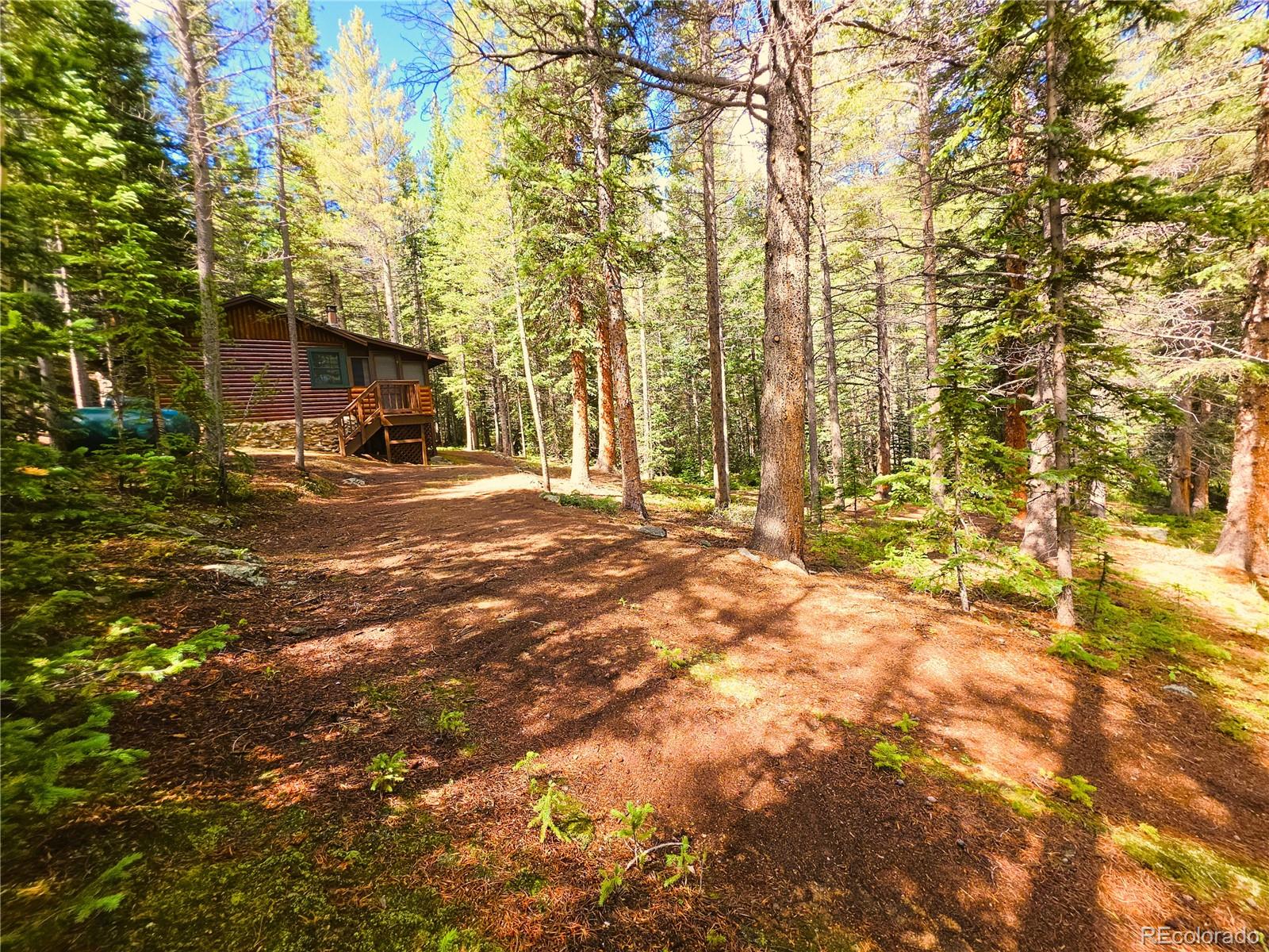 MLS Image #33 for 872  hefferman gulch road,idaho springs, Colorado