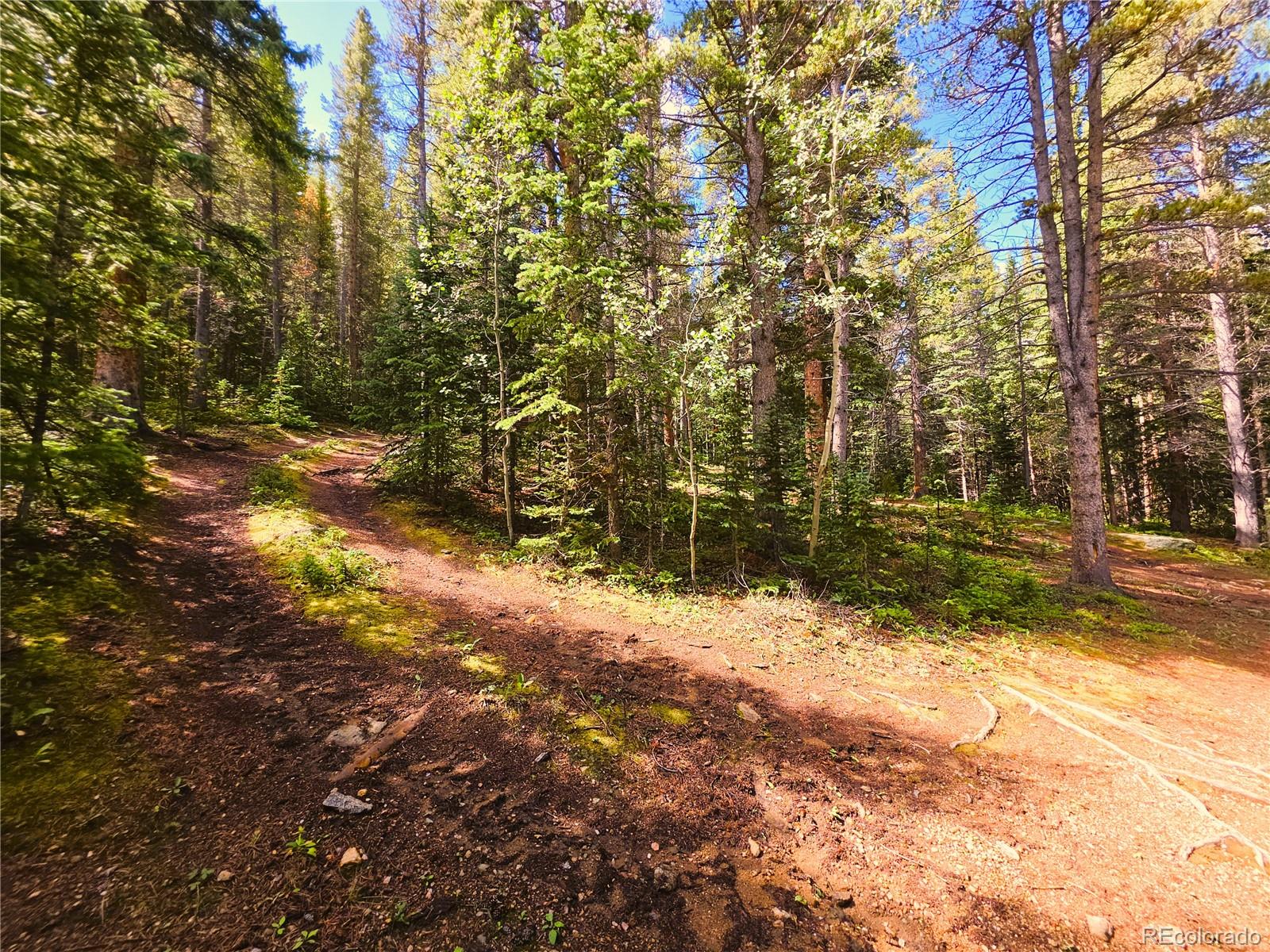 MLS Image #34 for 872  hefferman gulch road,idaho springs, Colorado