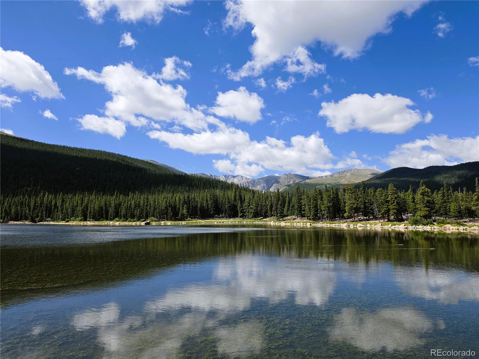 MLS Image #35 for 872  hefferman gulch road,idaho springs, Colorado