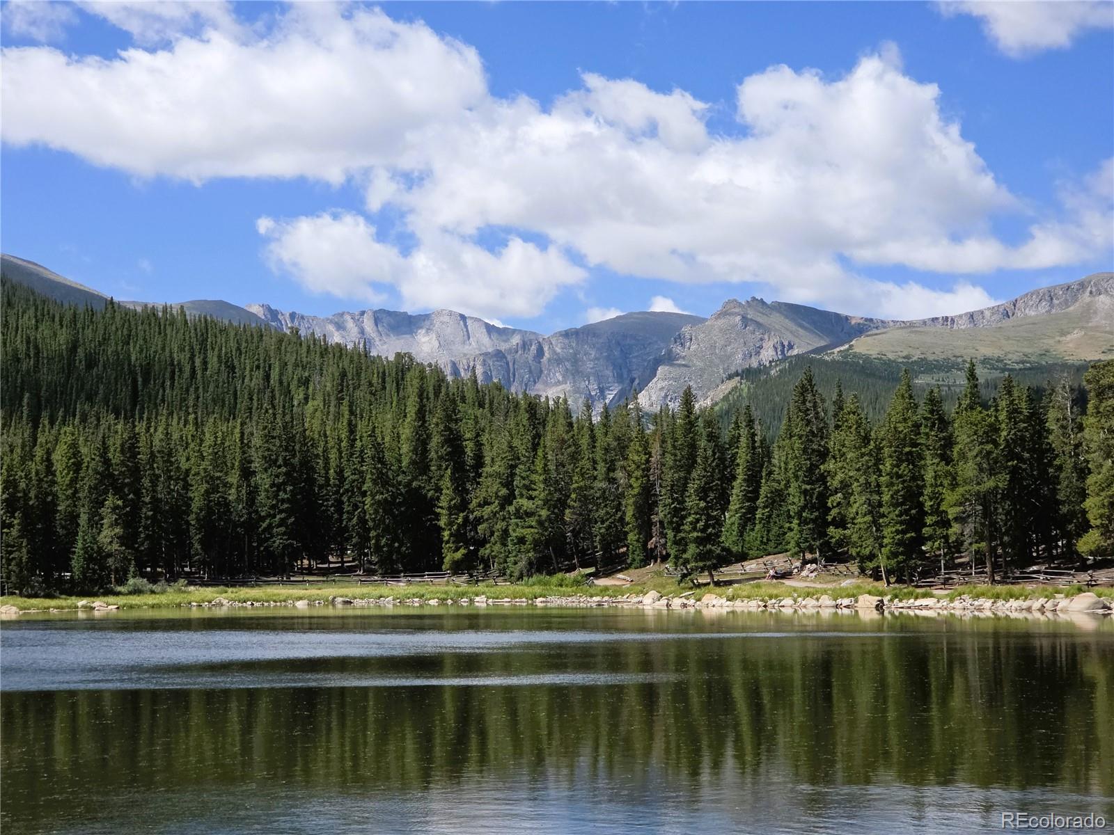 MLS Image #36 for 872  hefferman gulch road,idaho springs, Colorado