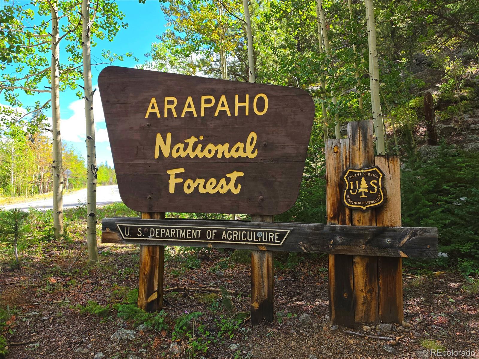 MLS Image #37 for 872  hefferman gulch road,idaho springs, Colorado