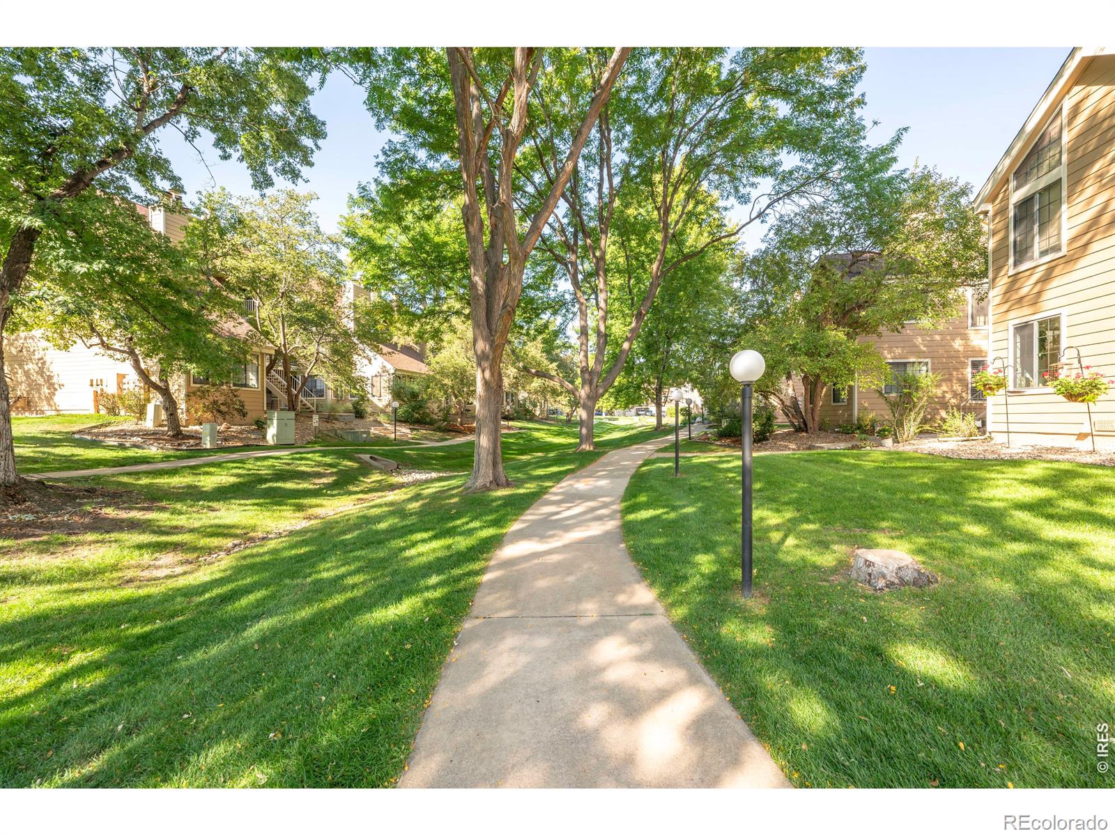 MLS Image #34 for 5946  gunbarrel avenue,boulder, Colorado