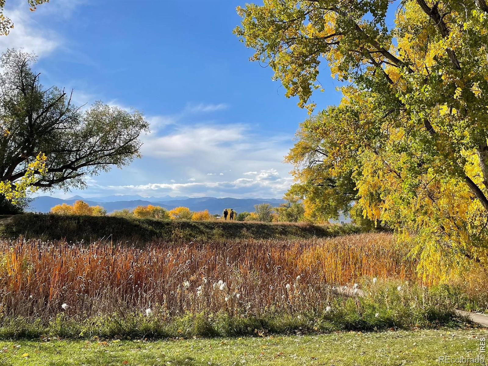 MLS Image #4 for 5946  gunbarrel avenue,boulder, Colorado