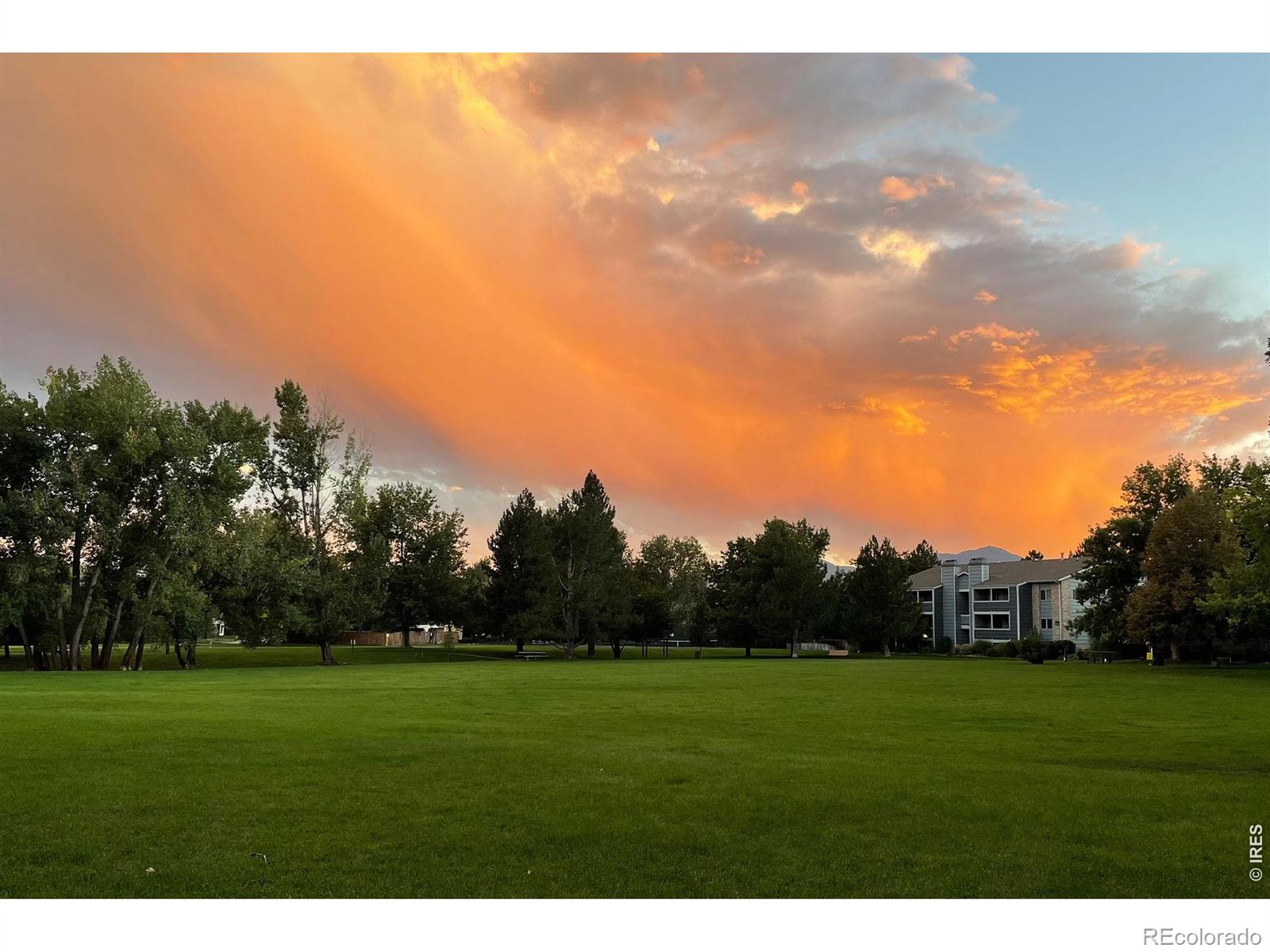 MLS Image #42 for 5946  gunbarrel avenue,boulder, Colorado