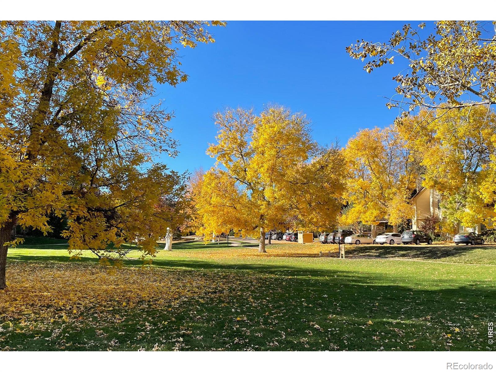 MLS Image #5 for 5946  gunbarrel avenue,boulder, Colorado
