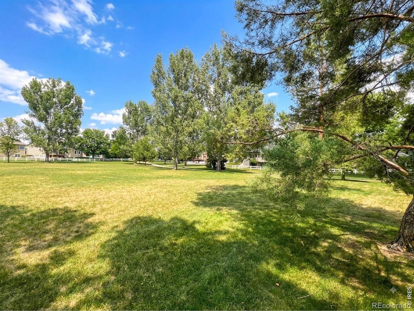 MLS Image #39 for 551  marcellina drive,loveland, Colorado