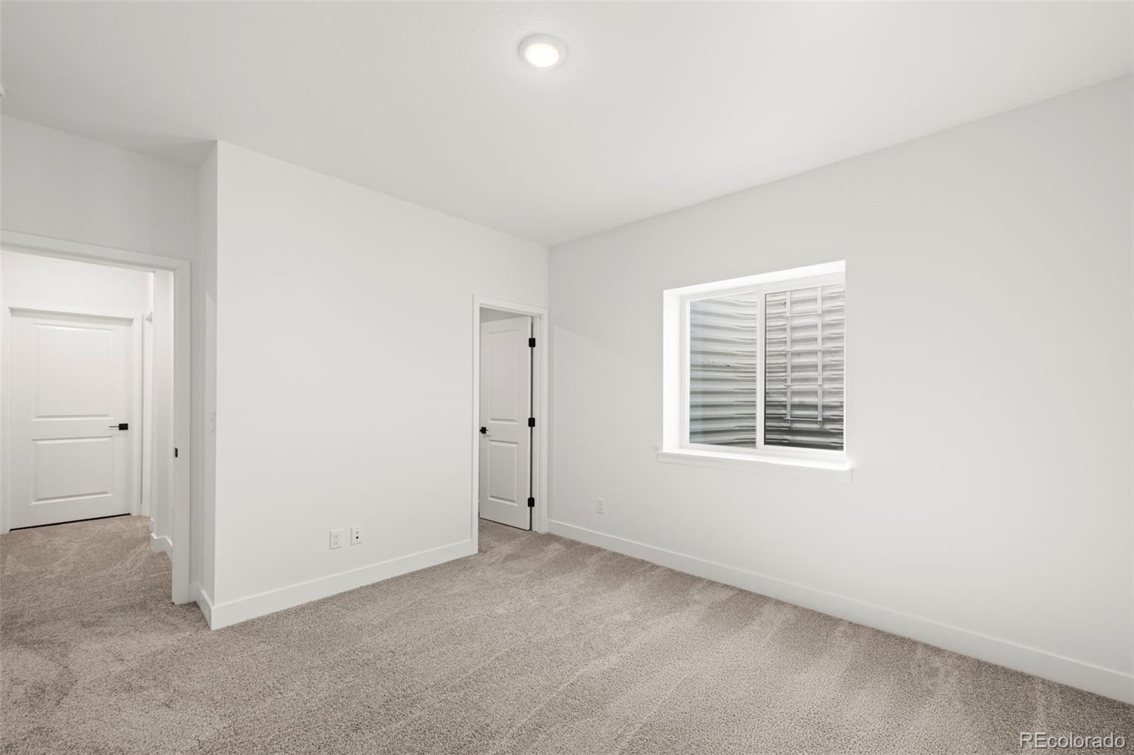 MLS Image #21 for 3795  emerald shore circle,loveland, Colorado