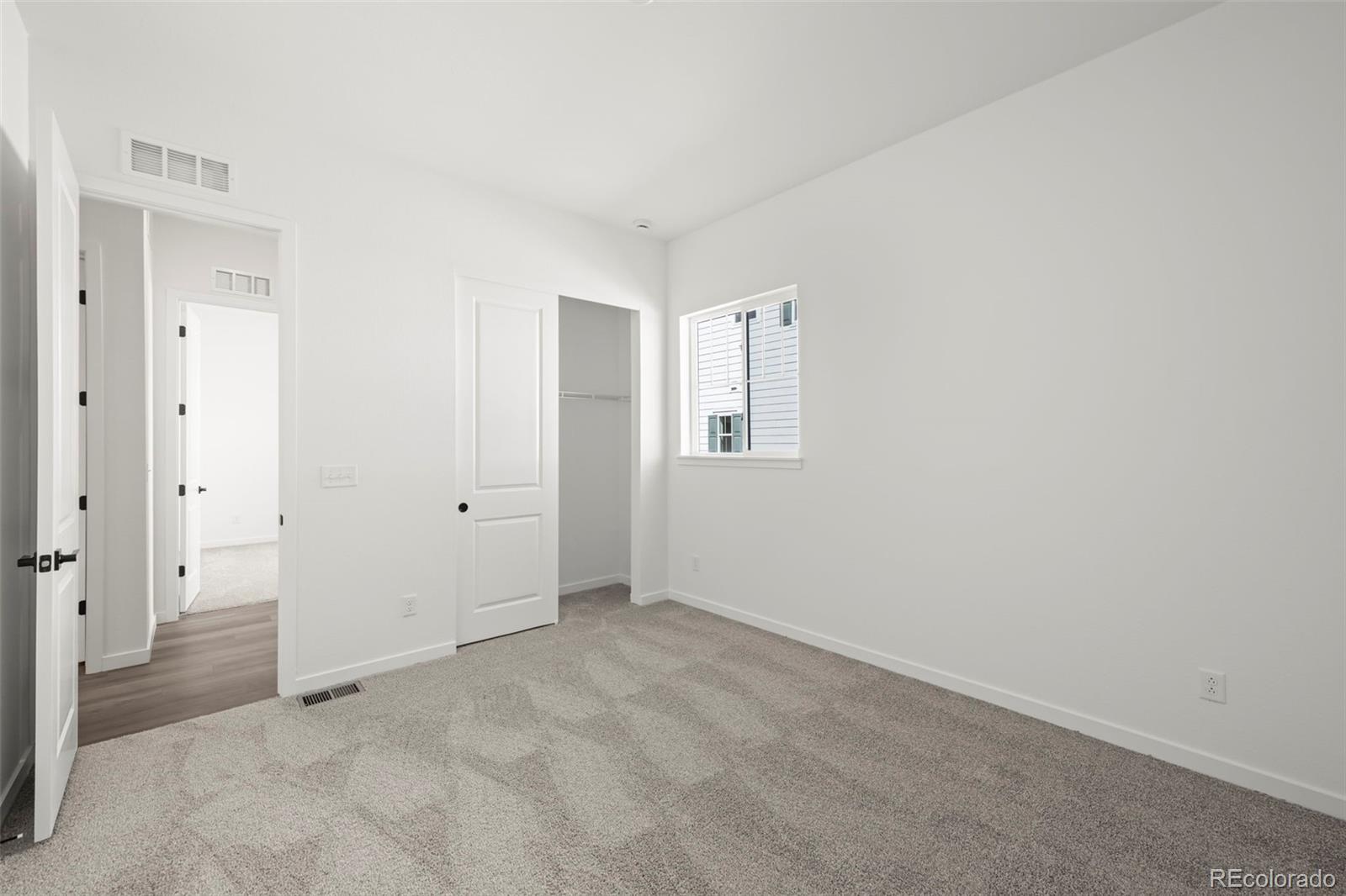 MLS Image #5 for 3795  emerald shore circle,loveland, Colorado