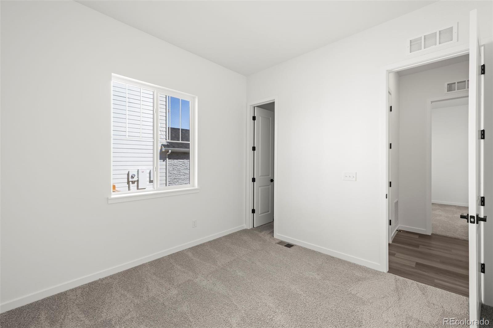 MLS Image #8 for 3795  emerald shore circle,loveland, Colorado