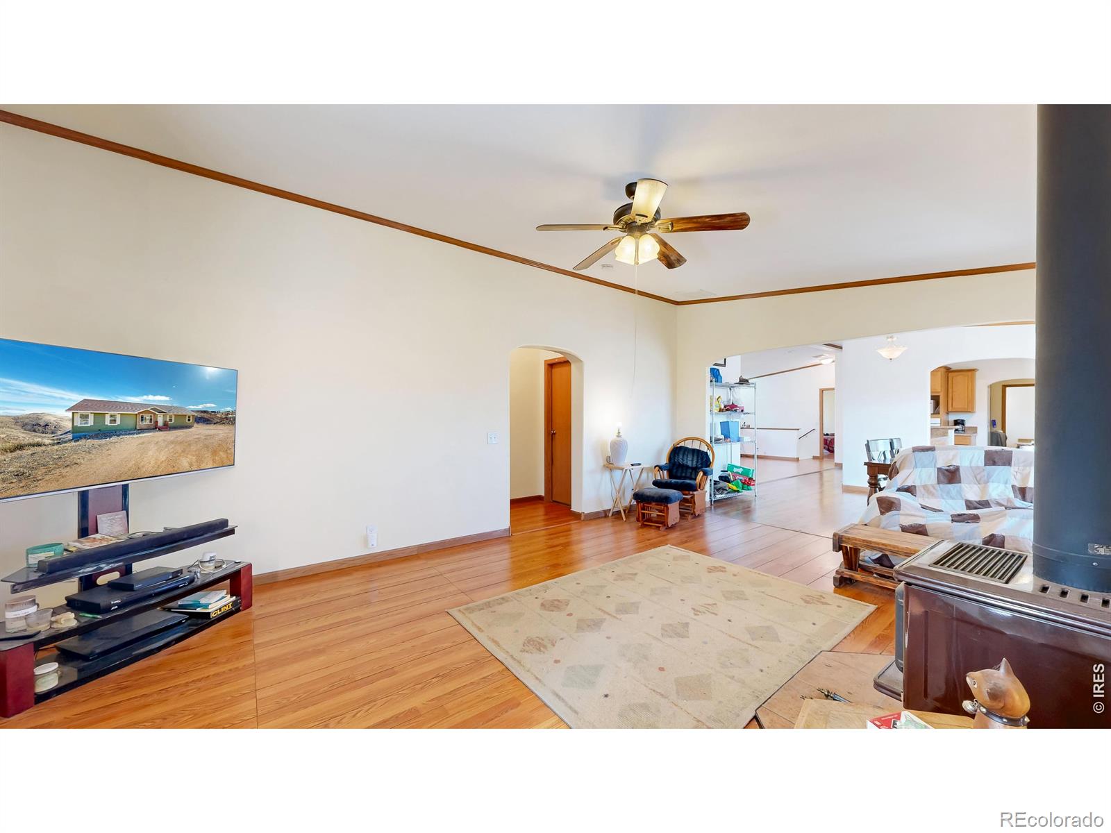 MLS Image #12 for 38  carson peak court,livermore, Colorado