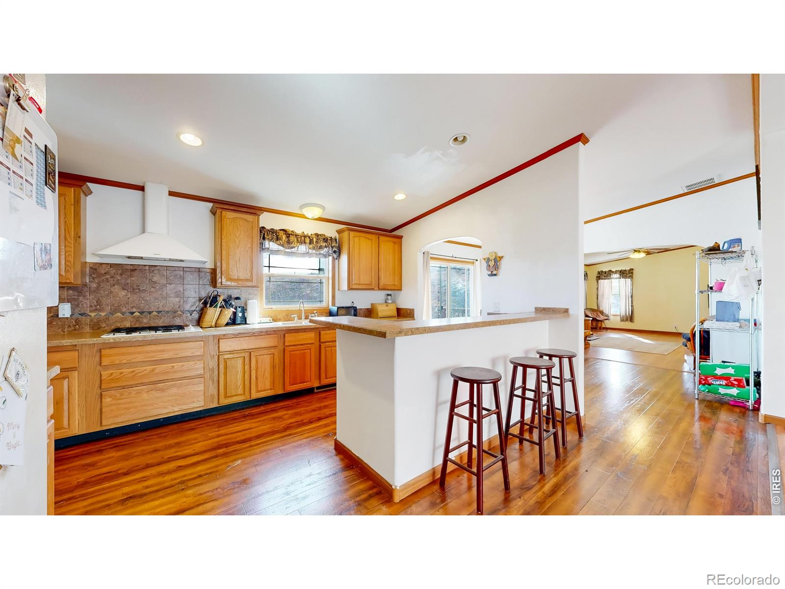 MLS Image #6 for 38  carson peak court,livermore, Colorado