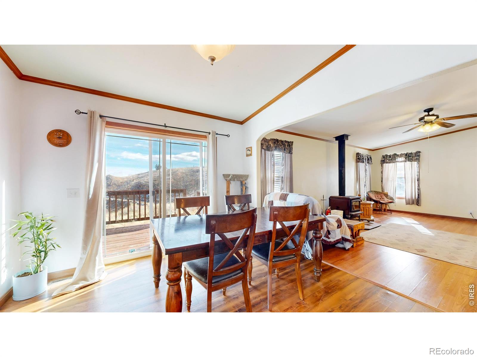 MLS Image #9 for 38  carson peak court,livermore, Colorado