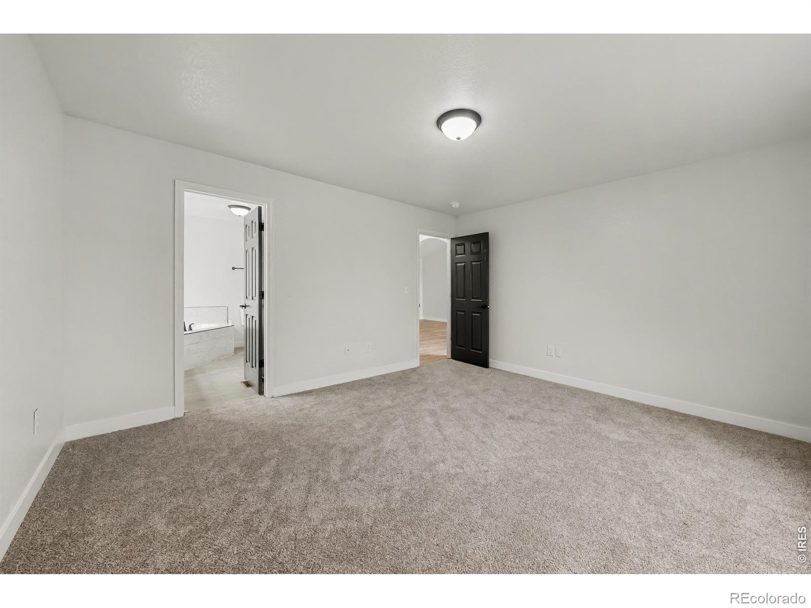 MLS Image #12 for 16318  8th street,mead, Colorado