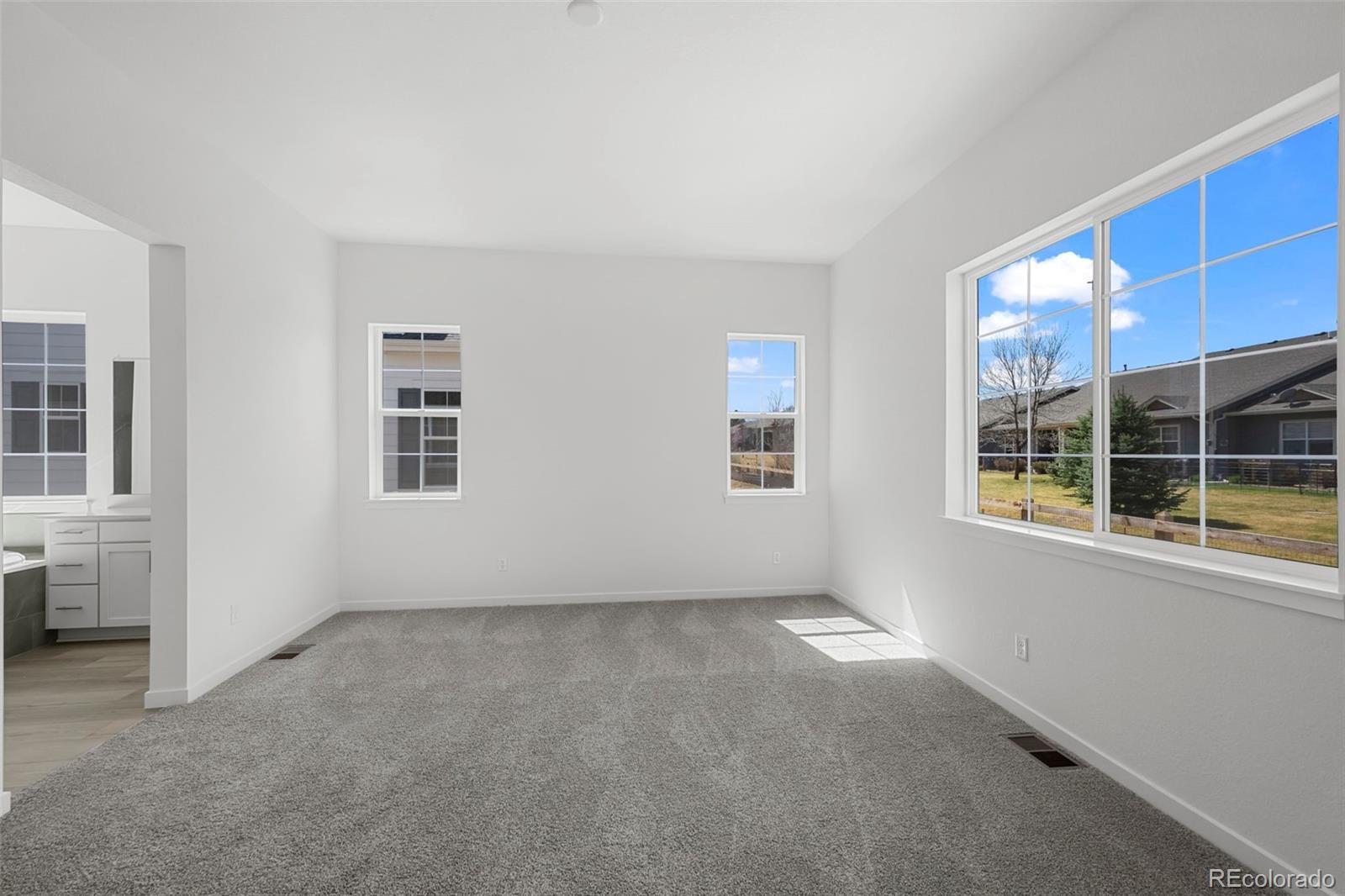 MLS Image #18 for 3807  emerald shore circle,loveland, Colorado