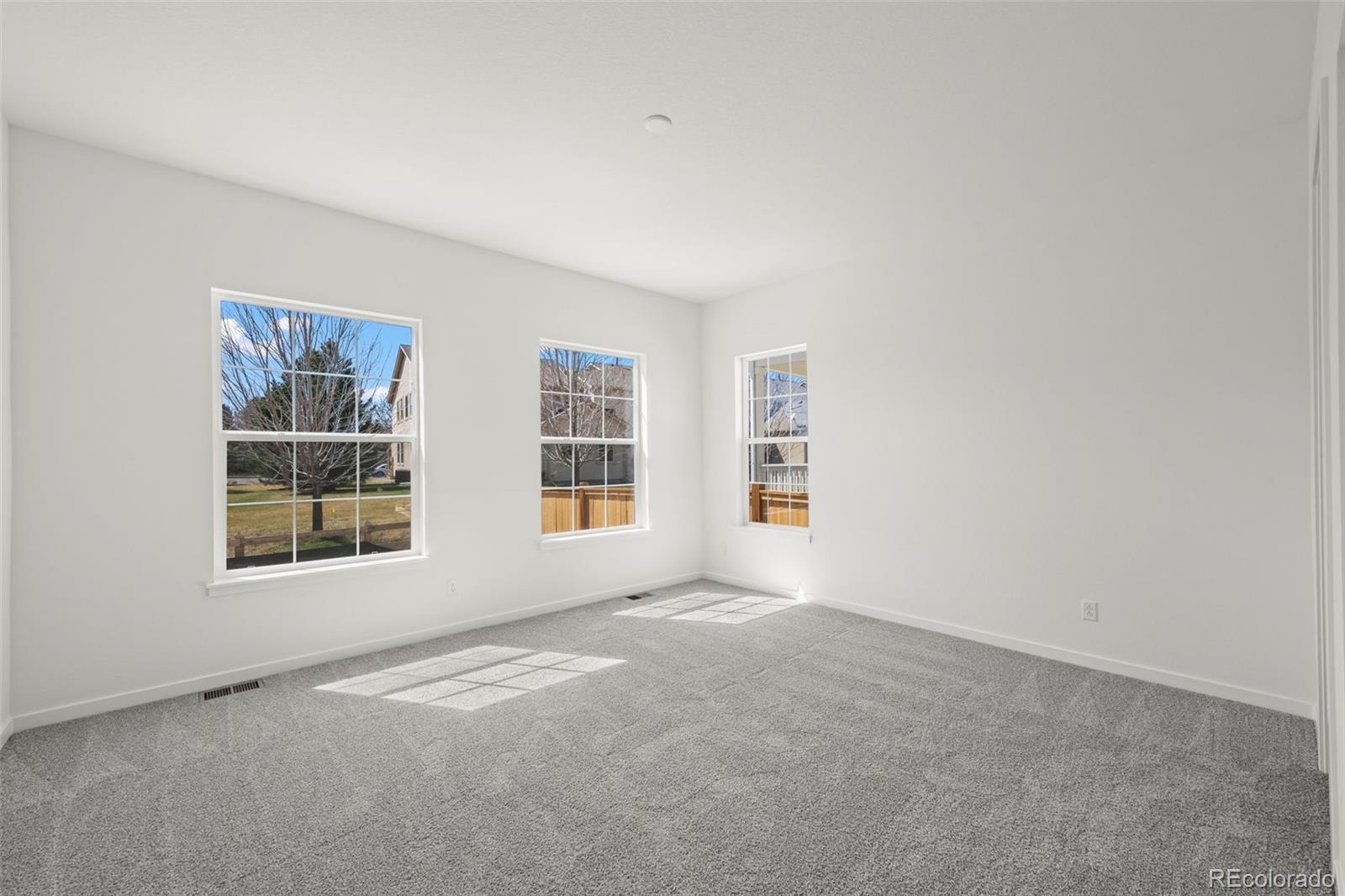 MLS Image #10 for 4043  emerald shore drive,loveland, Colorado