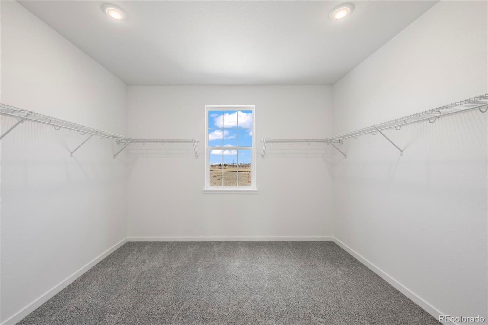 MLS Image #19 for 4043  emerald shore drive,loveland, Colorado