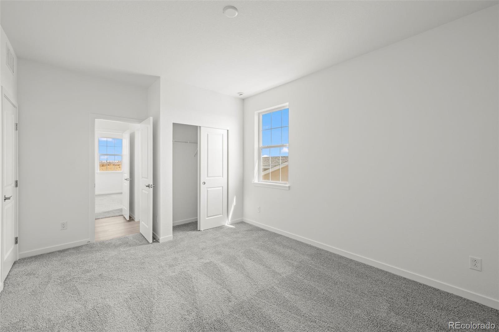 MLS Image #21 for 4043  emerald shore drive,loveland, Colorado