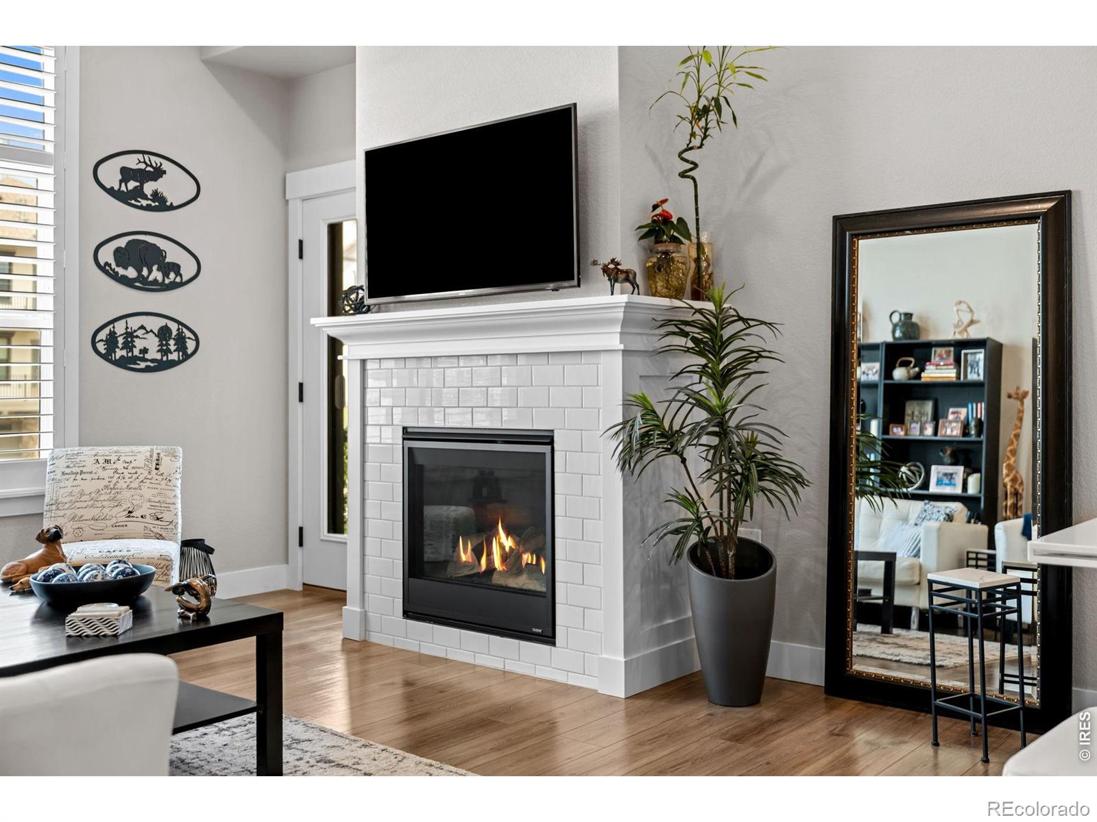 MLS Image #5 for 235  high point drive,longmont, Colorado