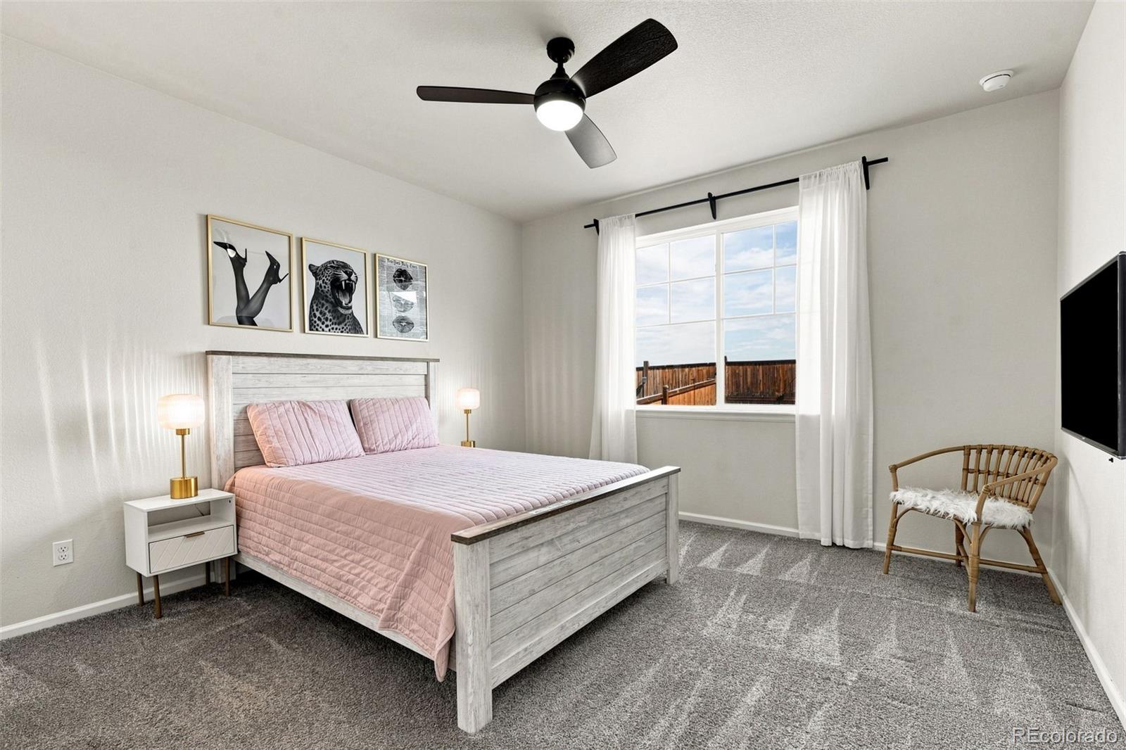 MLS Image #16 for 3943  white leaf place,castle rock, Colorado