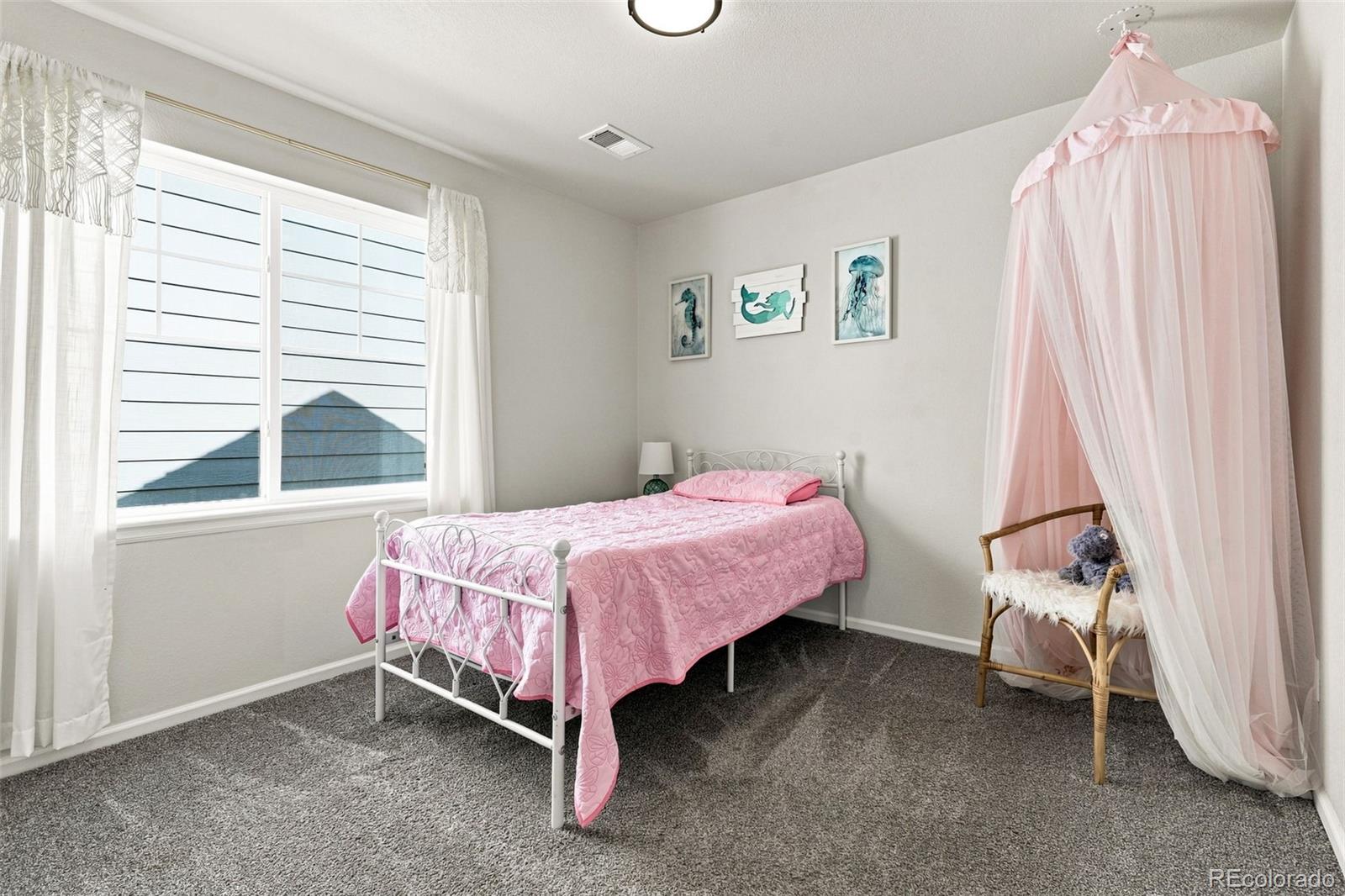 MLS Image #26 for 3943  white leaf place,castle rock, Colorado